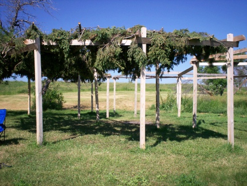 Arbor at Bear Butte 2009